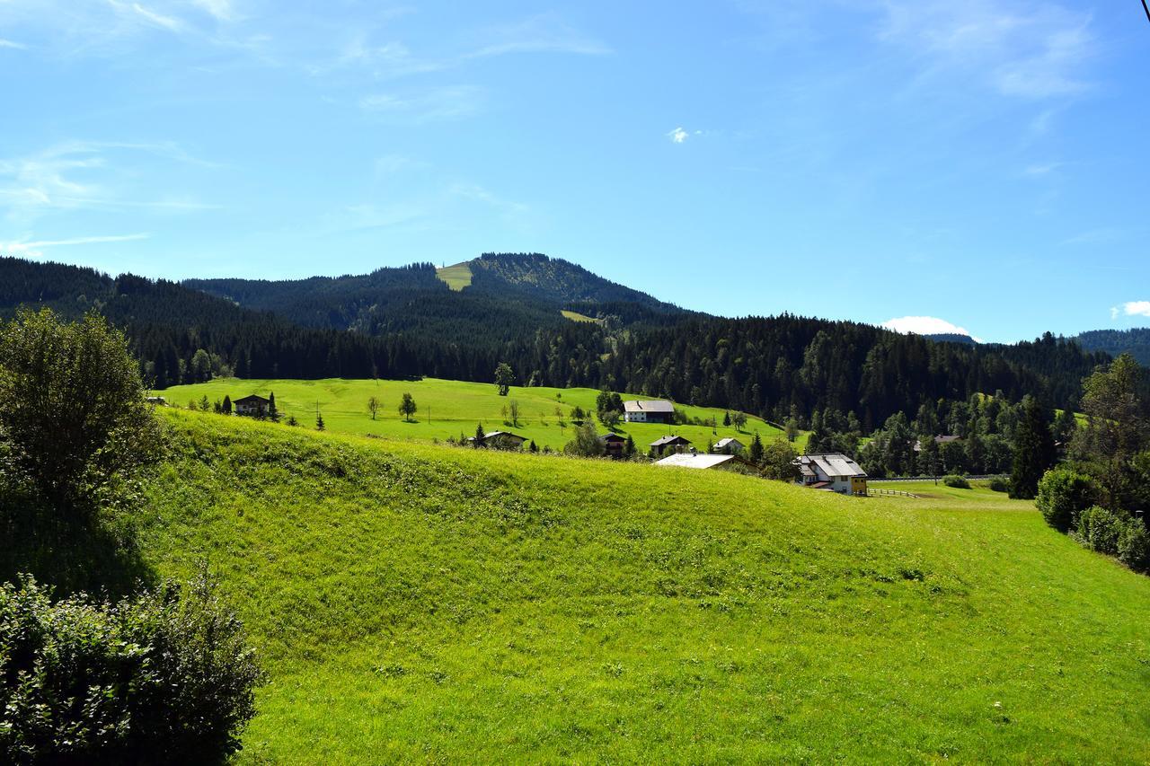 Hotel Kronenhirsch Rußbach am Paß Gschütt Zewnętrze zdjęcie